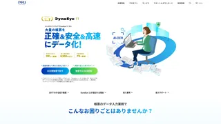 DynaEye11
